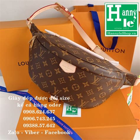 túi bao Louis Vuitton